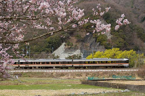 特急（ワイドビュー）ふじかわ７号