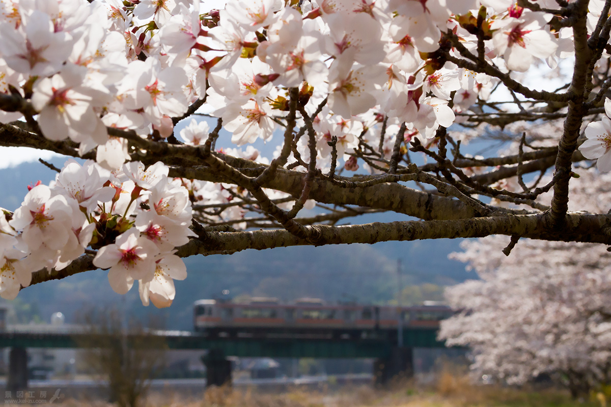 同列車を後追い