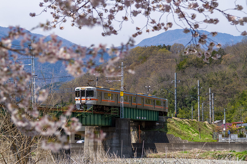 三沢川左岸から