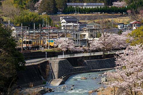 下部温泉　 -　甲斐常葉