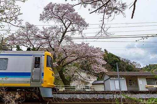 軌道・電気総合試験車　ドクター東海