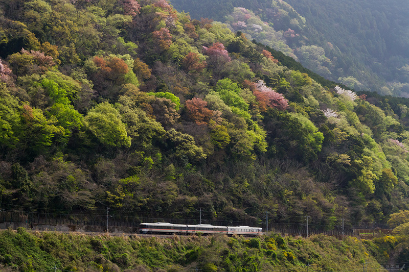 十島　-　 井出