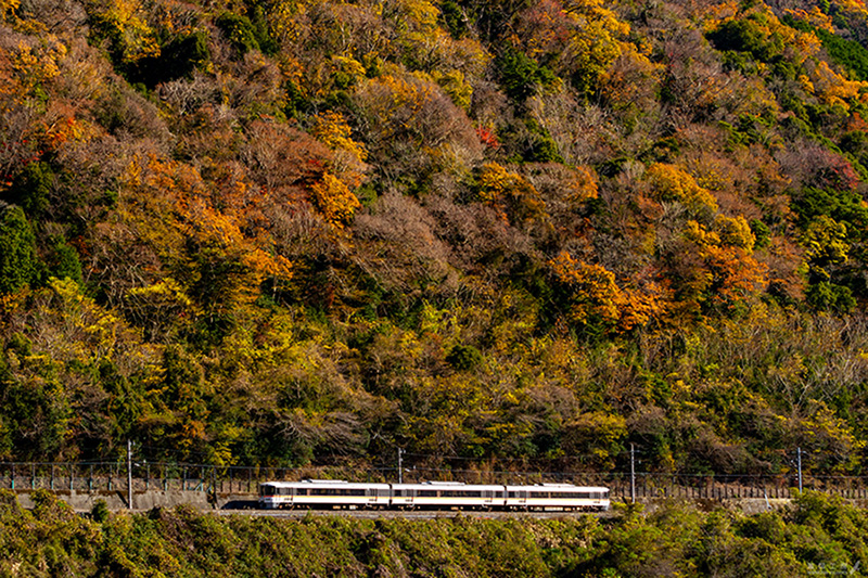 ロケハン身延線